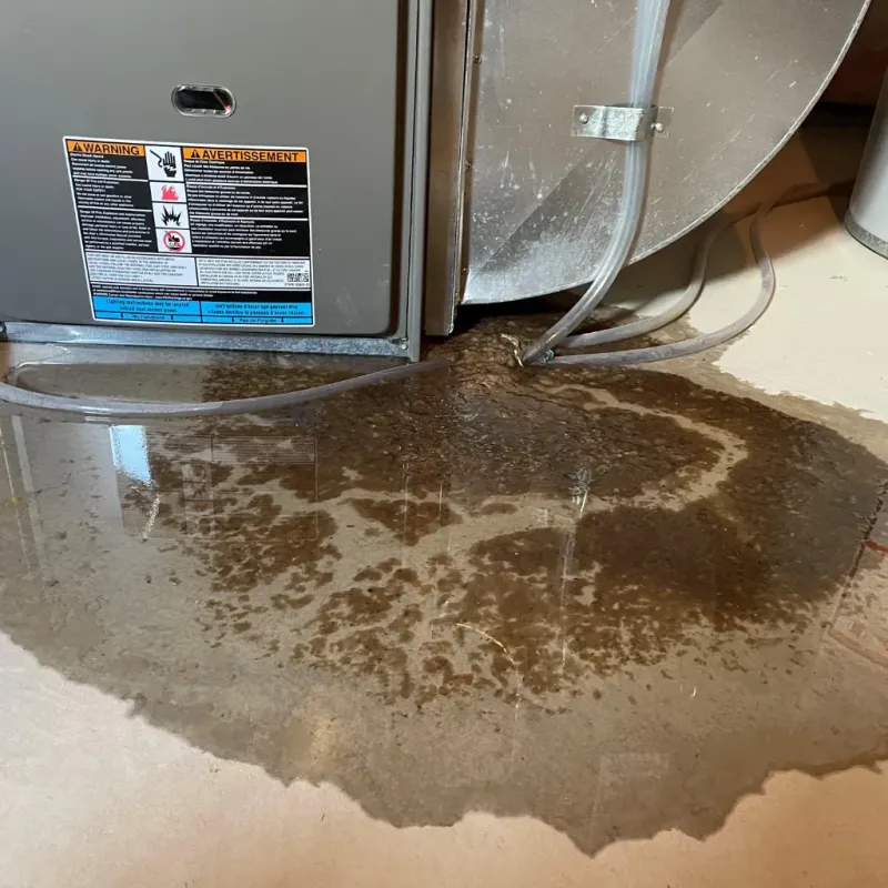 Appliance Leak Cleanup in Parma, ID